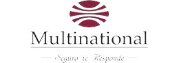 Multinational Insurance Company
